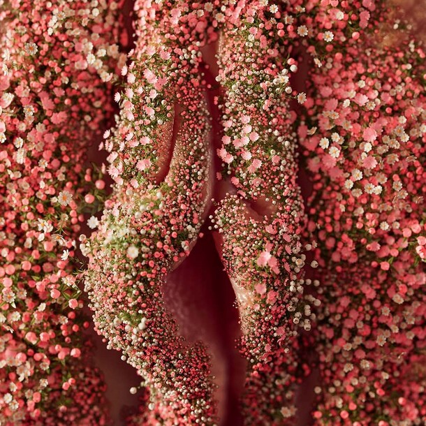 My Top 4 VULVA Skincare Products