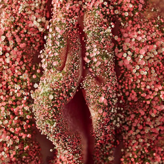 My Top 4 VULVA Skincare Products